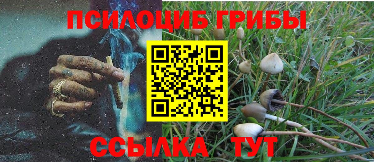 Галлюциногенные грибы Psilocybine cubensis  Вход с VPN  Оренбург 