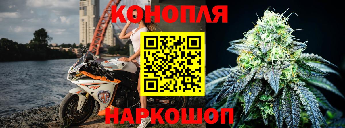 Канабис гибрид Оренбург